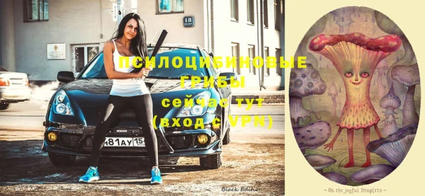 ешки Володарск
