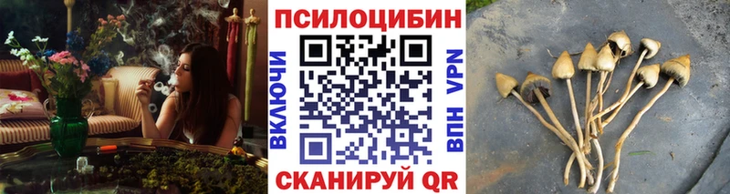 купить   Уфа  Псилоцибиновые грибы GOLDEN TEACHER 